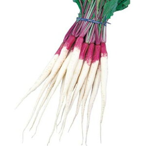 ؕ 1dl  Ju y^LC   ^lzyʏ5{ 5̂̓|Cg10{z