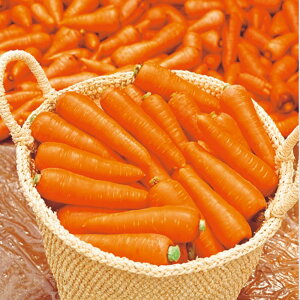 ȂܐlQ(Ȃ) ^LCz 2dlX^hpbN200ml jW ɂ񂶂 lQy^LC   ^lzyʏ5{ 5̂̓|Cg10{z