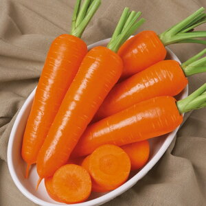 OvlQ ^LCz L110ZR jW ɂ񂶂 lQy^LC   ^lzyʏ5{ 5̂̓|Cg10{z