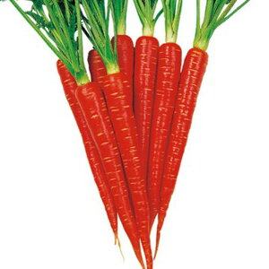 {glQ(я) 2dlX^hpbN200ml jW ɂ񂶂 lQy^LC   ^lzyʏ5{ 5̂̓|Cg10{z