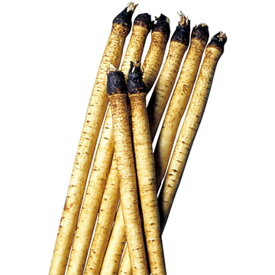 楽天市場 柳川理想牛蒡の通販