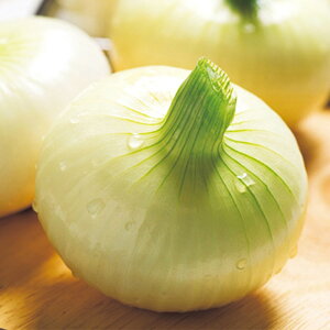 VʔK() ^LCz 20ml ʂ˂ ܂˂ ʔK ^}lMy^LC   ^lzyʏ5{ 5̂̓|Cg10{z