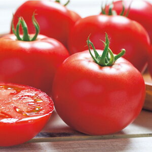 Yt@Cgg}g ^LCz 100100R g}g Ƃ܂ ׉ցy^LC   ^lzyʏ5{ 5̂̓|Cg10{z