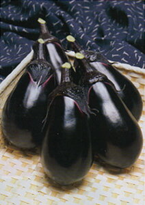 SL紫水茄子 タキイ交配 PVP 1000粒1センR ナス なす 茄子【タキイ 種 たね タネ】【通常5倍 5のつく日はポイント10倍】