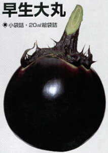 ۉ֎q ^LCz 20002ZR iX Ȃ ֎qy^LC   ^lzyʏ5{ 5̂̓|Cg10{z