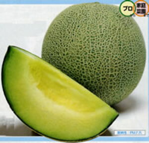 pi ^LCz 100100R ߂  rZy^LC   ^lzyʏ5{ 5̂̓|Cg10{z