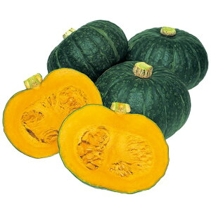 ق肦тZ ^LCz 100100R Z J{` ڂy^LC   ^lzyʏ5{ 5̂̓|Cg10{z