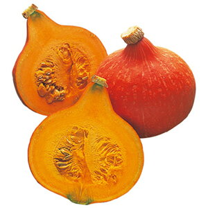 ŖؑԌIZ 100100R Z J{` ڂy^LC   ^lzyʏ5{ 5̂̓|Cg10{z