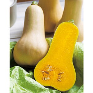 o^[ibcZ 100100R Z J{` ڂy^LC   ^lzyʏ5{ 5̂̓|Cg10{z