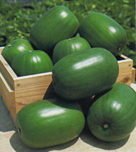 P Ƃ ^LC琬 100100R ߂  rZy^LC   ^lzyʏ5{ 5̂̓|Cg10{z