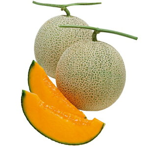 m ^LCz 100R100 ߂  rZy^LC   ^lzyʏ5{ 5̂̓|Cg10{z