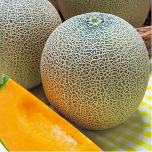 mEF[u ^LCz 100R100 ߂  rZy^LC   ^lzyʏ5{ 5̂̓|Cg10{z