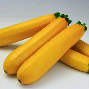 [_EWb 500 YbL[j [ɁygL^   ^lzyʏ5{ 5̂̓|Cg10{z