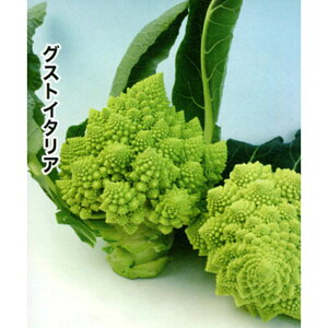 }lXR _EB` 1000(LR[g) OXgC^A _Cz ygL^   ^lzyʏ5{ 5̂̓|Cg10{z