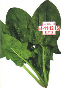 vEXAt@ M3 ق @@ zE\E ق񂻂 _Cz ygL^   ^lzyʏ5{ 5̂̓|Cg10{z