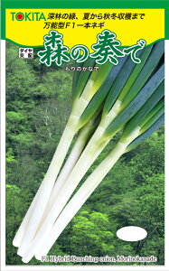 y|Cg5{ 5̂10{zX̑t(TSX-515) 5000(R[g) K lM ˂ _Cz ygL^   ^lz