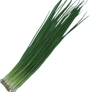 sR22 1L K lM ˂ _Cz ygL^   ^lzyʏ5{ 5̂̓|Cg10{z
