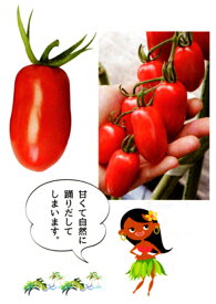 フラガール 100粒 トマト とまと 蕃茄 ダイヤ交配 【トキタ 種 たね タネ】【通常5倍 5のつく日はポイント10倍】