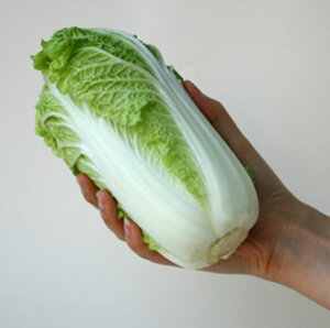 X؏tHp 2500  nNTC ͂ _Cz ygL^   ^lzyʏ5{ 5̂̓|Cg10{z