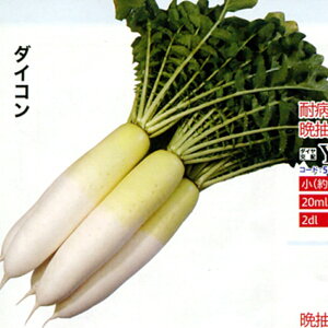 YRY 2dl 卪 _CR  _Cz ygL^   ^lzyʏ5{ 5̂̓|Cg10{z