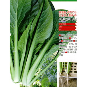 Ă̍bq 2dl  R}ci ܂ _Cz ygL^   ^lzyʏ5{ 5̂̓|Cg10{z