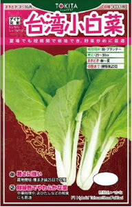 p 2dl  Vi  _Cz ygL^   ^lzyʏ5{ 5̂̓|Cg10{z