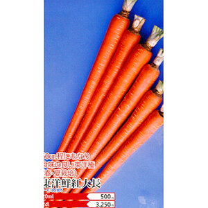 mNg咷 1L jW ɂ񂶂 lQygL^   ^lzyʏ5{ 5̂̓|Cg10{z