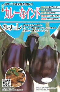 ȂRV[Y J[ȃCh 100 iX Ȃ ֎q _Cz ygL^   ^lzyʏ5{ 5̂̓|Cg10{z