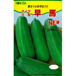 NEWn 100 E  Z _Cz ygL^   ^lzyʏ5{ 5̂̓|Cg10{z