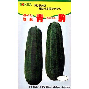  100 E  Z _Cz ygL^   ^lzyʏ5{ 5̂̓|Cg10{z