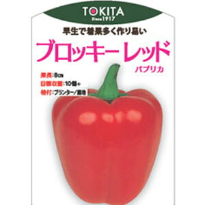 ubL[^Cvbh 100 s[} ҁ[܂ _Cz ygL^   ^lzyʏ5{ 5̂̓|Cg10{z