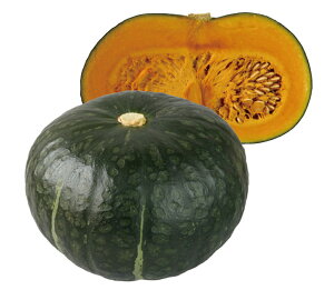菫RlI 500 Z J{` ڂ _Cz ygL^   ^lzyʏ5{ 5̂̓|Cg10{z