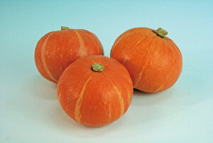 gV[Y  100 Z J{` ڂ _Cz ygL^   ^lzyʏ5{ 5̂̓|Cg10{z