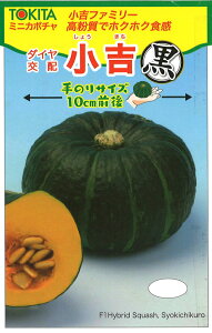 gV[Y  100 Z J{` ڂ _Cz ygL^   ^lzyʏ5{ 5̂̓|Cg10{z