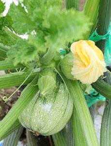 p[mV[Y p[mEI[u 100 YbL[j [ _Cz ygL^   ^lzyʏ5{ 5̂̓|Cg10{z