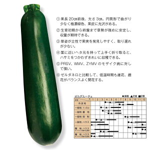 [_E[`F(710Z) 100 YbL[j [ _Cz ygL^   ^lzyʏ5{ 5̂̓|Cg10{z