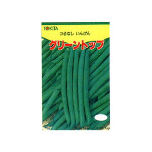 O[gbv(Ȃ) 1l B CQ} 񂰂܂߁ygL^   ^lzyʏ5{ 5̂̓|Cg10{z