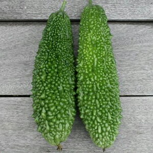 قɂ 100 jKE ɂ Z _Cz ygL^   ^lzyʏ5{ 5̂̓|Cg10{z