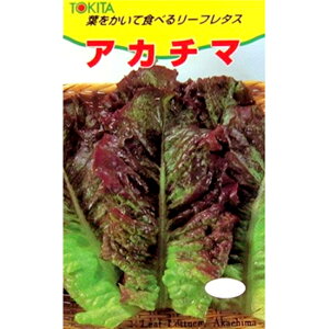 AJ`}(ē^X) 20ml ^XygL^   ^lzyʏ5{ 5̂̓|Cg10{z