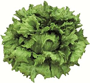 ACS() LR[g5000 ^Xyc^̃^l   ^l zyʏ5{ 5̂̓|Cg10{ΏۊOi|Cg3{Œ菤iz