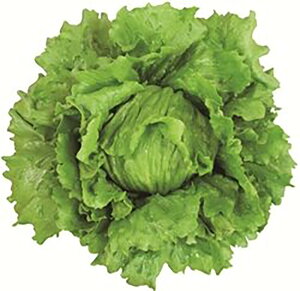 ACXN LR[g5000 ^Xyc^̃^l   ^l zyʏ5{ 5̂̓|Cg10{ΏۊOi|Cg3{Œ菤iz