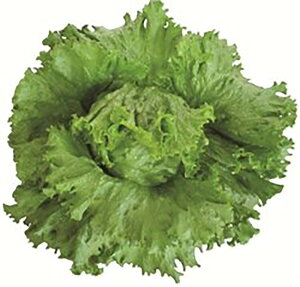 AXwbhOX LR[g5000 ^Xyc^̃^l   ^l zyʏ5{ 5̂̓|Cg10{ΏۊOi|Cg3{Œ菤iz