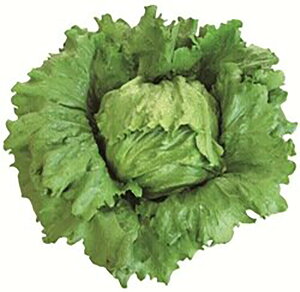 [jg_[ LR[g5000 ^Xyc^̃^l   ^l zyʏ5{ 5̂̓|Cg10{ΏۊOi|Cg3{Œ菤iz