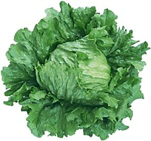 gbvMW LR[g1000 ^Xyc^̃^l   ^l zyʏ5{ 5̂̓|Cg10{ΏۊOi|Cg3{Œ菤iz