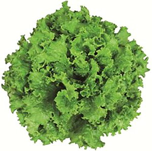 ObhXs[_[ LR[g1000 ^Xyc^̃^l   ^l zyʏ5{ 5̂̓|Cg10{ΏۊOi|Cg3{Œ菤iz