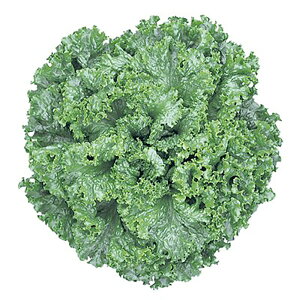 O[[t2 LR[g5000 ^Xyc^̃^l   ^l zyʏ5{ 5̂̓|Cg10{ΏۊOi|Cg3{Œ菤iz