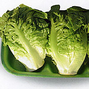 Axj[1 lR[g1000 ^X ^Xyc^̃^l   ^l zyʏ5{ 5̂̓|Cg10{ΏۊOi|Cg3{Œ菤iz