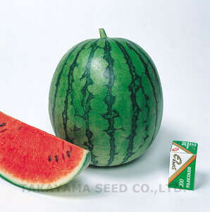 gTW 20ml XCJ  Zy^J}V[h   ^l zyʏ5{ 5̂̓|Cg10{z