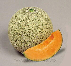 u\O 100 ߂  rZy^J}V[h   ^l zyʏ5{ 5̂̓|Cg10{z