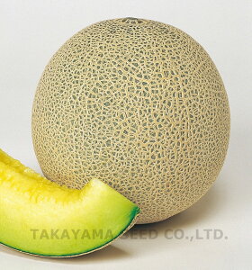 O[X114 100 ߂  rZy^J}V[h   ^l zyʏ5{ 5̂̓|Cg10{z